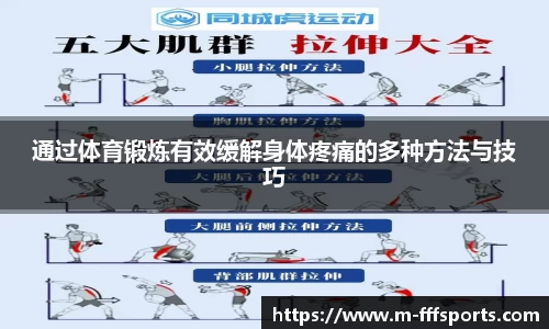 FFF体育平台